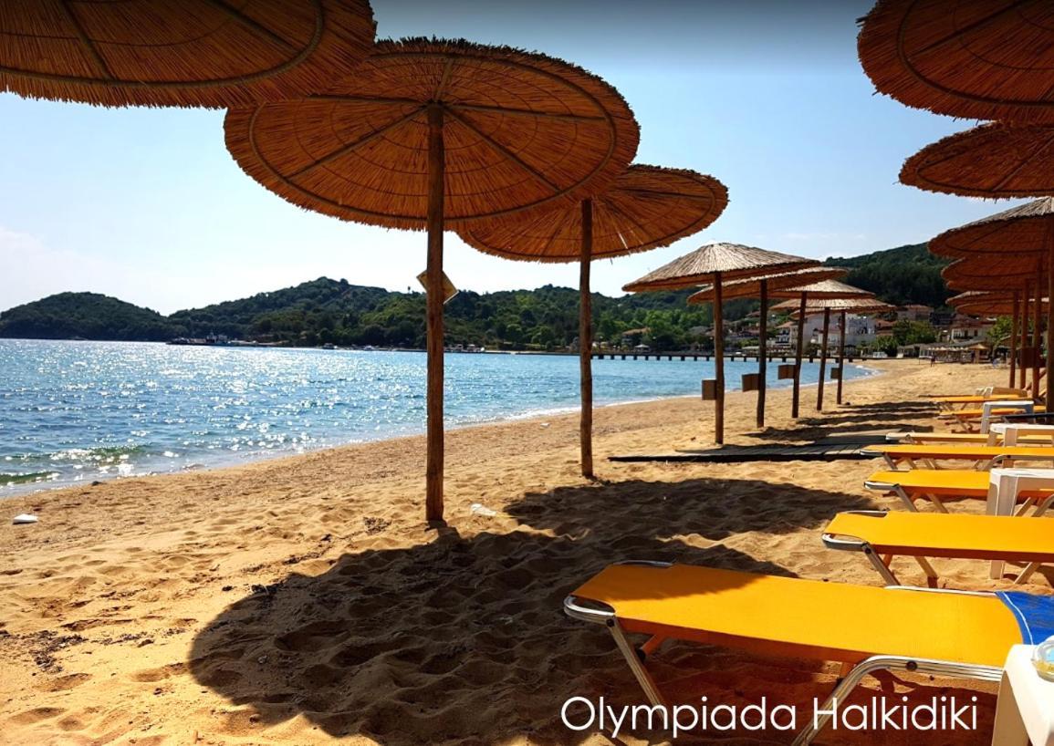 Mirini • Ancient Stagira Apts • Chalkidiki Olympiada Exterior foto