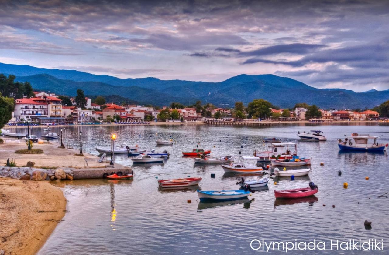 Mirini • Ancient Stagira Apts • Chalkidiki Olympiada Exterior foto